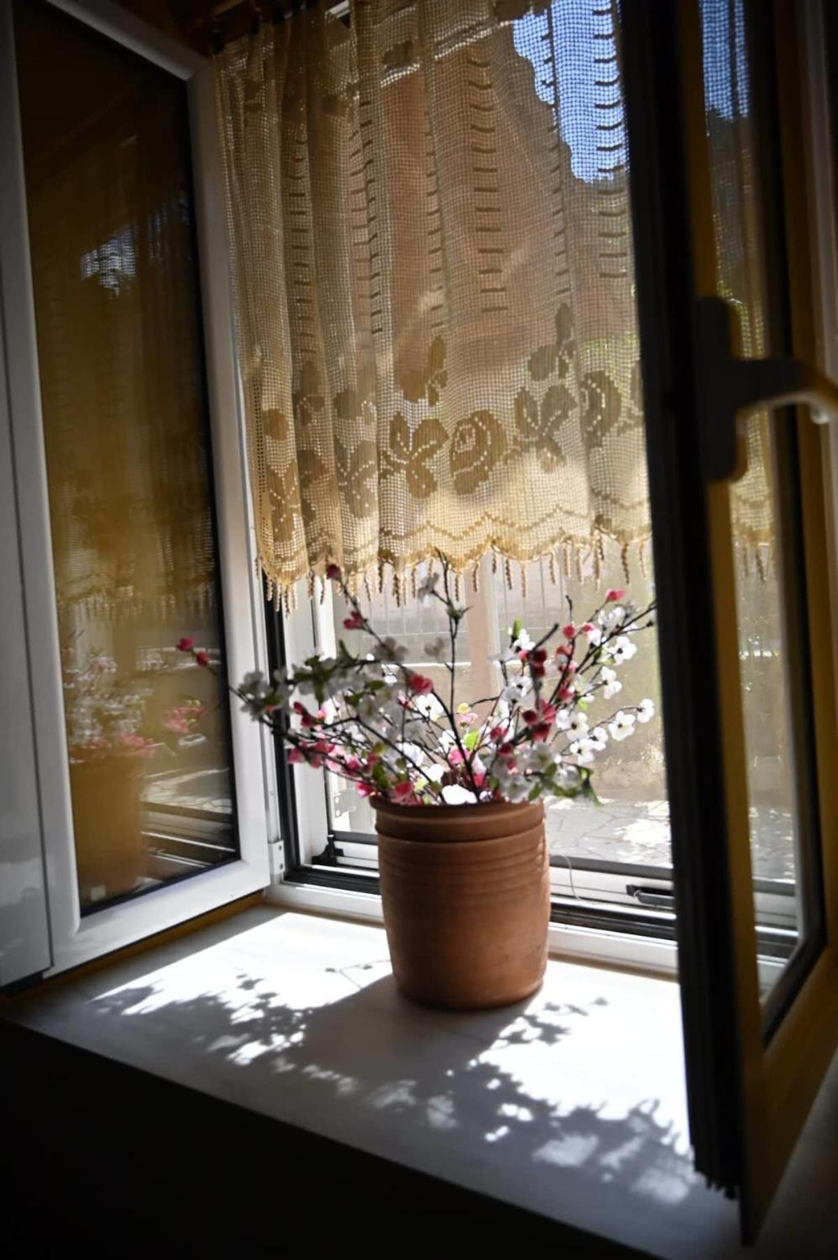 Kalavrita Winter Retreat - Homely Spacious Chalet Áno Vlasía 外观 照片