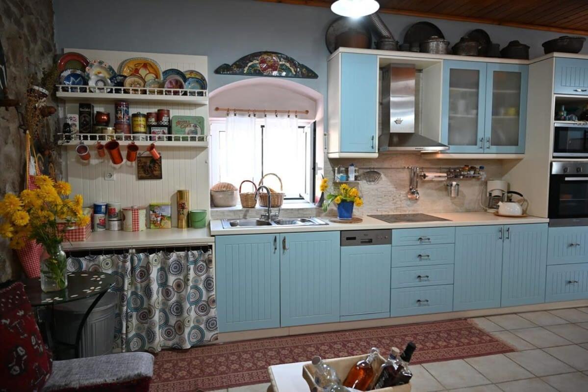 Kalavrita Winter Retreat - Homely Spacious Chalet Áno Vlasía 外观 照片